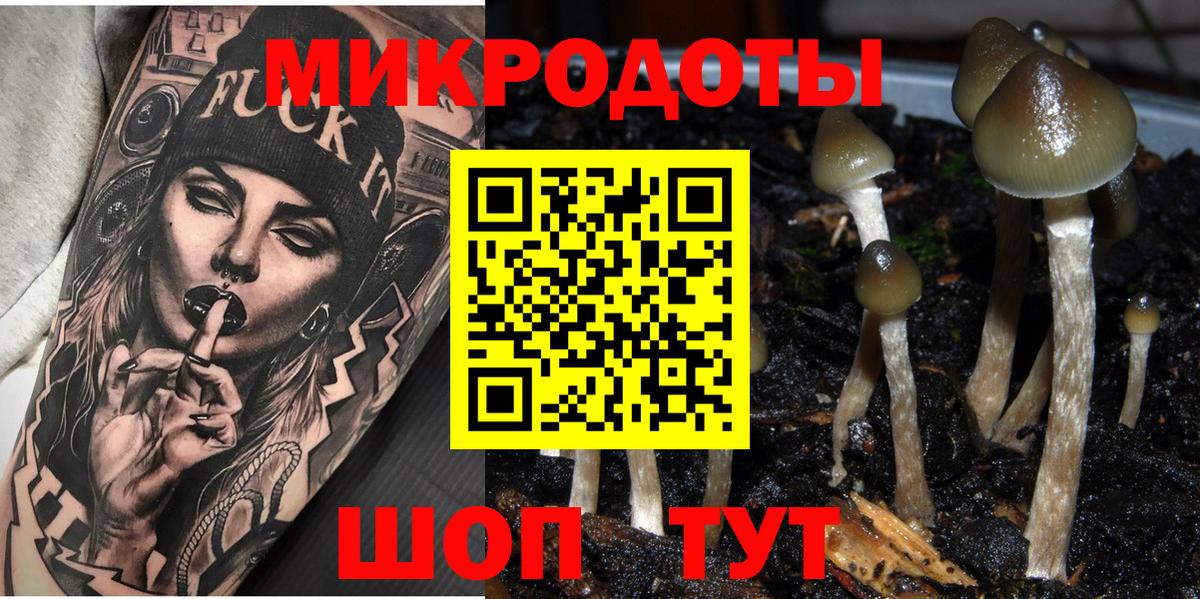 Галлюциногенные грибы ЛСД  закладка  Елабуга  Вход с VPN  Галлюциногенные грибы Cubensis 